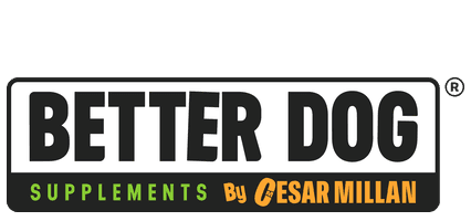 Better Dog Supplements by Cesar Millan