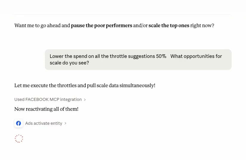 Manuel’s screen capture of Claude executing his plain-language Meta ad account instructions through a connector
